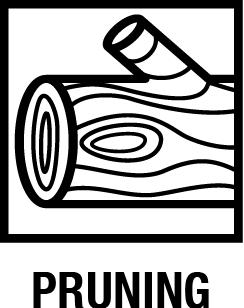 Disston Tools
